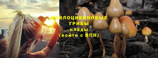 винт Армянск