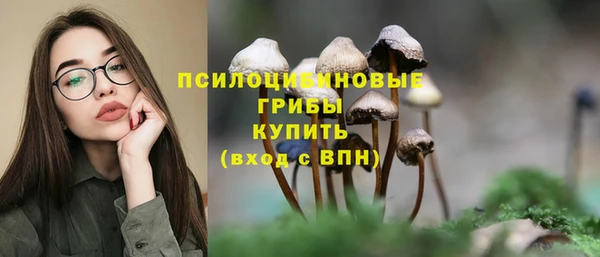a pvp Аркадак