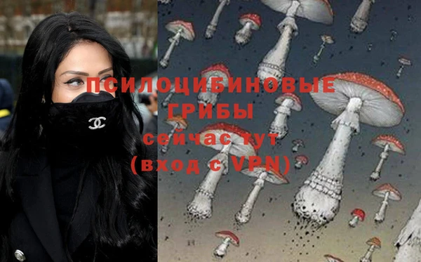 винт Армянск