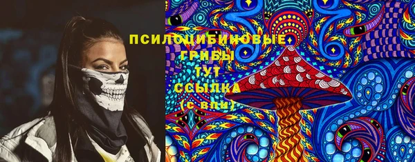 винт Армянск