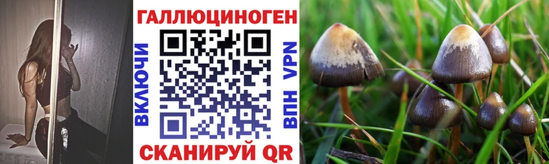 Псилоцибиновые грибы ЛСД  хочу   гидра вход  Байкальск 